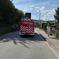 Festumzug..JPG