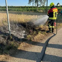 18_2.jpg